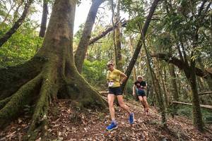 BIB: 
                            <button type="button" onclick="openModal(19367503)" class="btn btn-primary btn-sm float-right btn-popup" data-toggle="modal" data-target=".modal-high-quality">
                        <i class="fas fa-shopping-cart"></i> Add to Cart
                    </button>
                                            <button type="button" onclick="isThisMe(19367503, true)" class="btn btn-success btn-sm float-right btn-popup btn-isme hidden" data-toggle="tooltip" data-placement="bottom" title="นี่คือรูปของคุณใช่ไหม คลิกที่นี่เพื่อเอาเข้าอัลบั้ม">
                        <i class="fas fa-plus"></i> Add to album
                    </button>
                    <button type="button" onclick="isThisMe(19367503, false)" class="btn btn-warning btn-sm float-right btn-popup btn-isnotme hidden">
                        <i class="fas fa-ban"></i> Remove from album
                    </button>