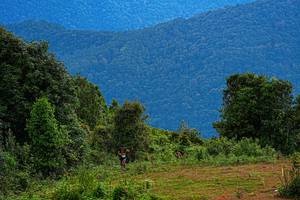 BIB: 
                            <button type="button" onclick="openModal(19368628)" class="btn btn-primary btn-sm float-right btn-popup" data-toggle="modal" data-target=".modal-high-quality">
                        <i class="fas fa-shopping-cart"></i> Add to Cart
                    </button>
                                            <button type="button" onclick="isThisMe(19368628, true)" class="btn btn-success btn-sm float-right btn-popup btn-isme hidden" data-toggle="tooltip" data-placement="bottom" title="นี่คือรูปของคุณใช่ไหม คลิกที่นี่เพื่อเอาเข้าอัลบั้ม">
                        <i class="fas fa-plus"></i> Add to album
                    </button>
                    <button type="button" onclick="isThisMe(19368628, false)" class="btn btn-warning btn-sm float-right btn-popup btn-isnotme hidden">
                        <i class="fas fa-ban"></i> Remove from album
                    </button>