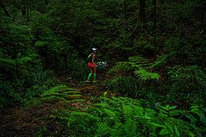 BIB: 
                            <button type="button" onclick="openModal(19368717)" class="btn btn-primary btn-sm float-right btn-popup" data-toggle="modal" data-target=".modal-high-quality">
                        <i class="fas fa-shopping-cart"></i> Add to Cart
                    </button>
                                            <button type="button" onclick="isThisMe(19368717, true)" class="btn btn-success btn-sm float-right btn-popup btn-isme hidden" data-toggle="tooltip" data-placement="bottom" title="นี่คือรูปของคุณใช่ไหม คลิกที่นี่เพื่อเอาเข้าอัลบั้ม">
                        <i class="fas fa-plus"></i> Add to album
                    </button>
                    <button type="button" onclick="isThisMe(19368717, false)" class="btn btn-warning btn-sm float-right btn-popup btn-isnotme hidden">
                        <i class="fas fa-ban"></i> Remove from album
                    </button>