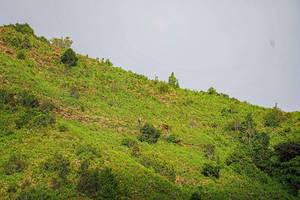 BIB: 
                            <button type="button" onclick="openModal(19368614)" class="btn btn-primary btn-sm float-right btn-popup" data-toggle="modal" data-target=".modal-high-quality">
                        <i class="fas fa-shopping-cart"></i> Add to Cart
                    </button>
                                            <button type="button" onclick="isThisMe(19368614, true)" class="btn btn-success btn-sm float-right btn-popup btn-isme hidden" data-toggle="tooltip" data-placement="bottom" title="นี่คือรูปของคุณใช่ไหม คลิกที่นี่เพื่อเอาเข้าอัลบั้ม">
                        <i class="fas fa-plus"></i> Add to album
                    </button>
                    <button type="button" onclick="isThisMe(19368614, false)" class="btn btn-warning btn-sm float-right btn-popup btn-isnotme hidden">
                        <i class="fas fa-ban"></i> Remove from album
                    </button>