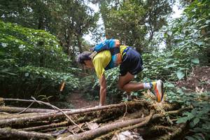 BIB: 
                            <button type="button" onclick="openModal(19367481)" class="btn btn-primary btn-sm float-right btn-popup" data-toggle="modal" data-target=".modal-high-quality">
                        <i class="fas fa-shopping-cart"></i> Add to Cart
                    </button>
                                            <button type="button" onclick="isThisMe(19367481, true)" class="btn btn-success btn-sm float-right btn-popup btn-isme hidden" data-toggle="tooltip" data-placement="bottom" title="นี่คือรูปของคุณใช่ไหม คลิกที่นี่เพื่อเอาเข้าอัลบั้ม">
                        <i class="fas fa-plus"></i> Add to album
                    </button>
                    <button type="button" onclick="isThisMe(19367481, false)" class="btn btn-warning btn-sm float-right btn-popup btn-isnotme hidden">
                        <i class="fas fa-ban"></i> Remove from album
                    </button>