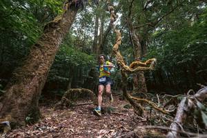 BIB: 
                            <button type="button" onclick="openModal(19367480)" class="btn btn-primary btn-sm float-right btn-popup" data-toggle="modal" data-target=".modal-high-quality">
                        <i class="fas fa-shopping-cart"></i> Add to Cart
                    </button>
                                            <button type="button" onclick="isThisMe(19367480, true)" class="btn btn-success btn-sm float-right btn-popup btn-isme hidden" data-toggle="tooltip" data-placement="bottom" title="นี่คือรูปของคุณใช่ไหม คลิกที่นี่เพื่อเอาเข้าอัลบั้ม">
                        <i class="fas fa-plus"></i> Add to album
                    </button>
                    <button type="button" onclick="isThisMe(19367480, false)" class="btn btn-warning btn-sm float-right btn-popup btn-isnotme hidden">
                        <i class="fas fa-ban"></i> Remove from album
                    </button>