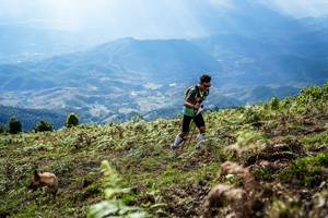 BIB: 
                            <button type="button" onclick="openModal(19369440)" class="btn btn-primary btn-sm float-right btn-popup" data-toggle="modal" data-target=".modal-high-quality">
                        <i class="fas fa-shopping-cart"></i> Add to Cart
                    </button>
                                            <button type="button" onclick="isThisMe(19369440, true)" class="btn btn-success btn-sm float-right btn-popup btn-isme hidden" data-toggle="tooltip" data-placement="bottom" title="นี่คือรูปของคุณใช่ไหม คลิกที่นี่เพื่อเอาเข้าอัลบั้ม">
                        <i class="fas fa-plus"></i> Add to album
                    </button>
                    <button type="button" onclick="isThisMe(19369440, false)" class="btn btn-warning btn-sm float-right btn-popup btn-isnotme hidden">
                        <i class="fas fa-ban"></i> Remove from album
                    </button>