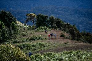 BIB: 
                            <button type="button" onclick="openModal(19369237)" class="btn btn-primary btn-sm float-right btn-popup" data-toggle="modal" data-target=".modal-high-quality">
                        <i class="fas fa-shopping-cart"></i> Add to Cart
                    </button>
                                            <button type="button" onclick="isThisMe(19369237, true)" class="btn btn-success btn-sm float-right btn-popup btn-isme hidden" data-toggle="tooltip" data-placement="bottom" title="นี่คือรูปของคุณใช่ไหม คลิกที่นี่เพื่อเอาเข้าอัลบั้ม">
                        <i class="fas fa-plus"></i> Add to album
                    </button>
                    <button type="button" onclick="isThisMe(19369237, false)" class="btn btn-warning btn-sm float-right btn-popup btn-isnotme hidden">
                        <i class="fas fa-ban"></i> Remove from album
                    </button>