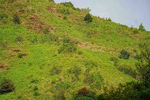 BIB: 
                            <button type="button" onclick="openModal(19368613)" class="btn btn-primary btn-sm float-right btn-popup" data-toggle="modal" data-target=".modal-high-quality">
                        <i class="fas fa-shopping-cart"></i> Add to Cart
                    </button>
                                            <button type="button" onclick="isThisMe(19368613, true)" class="btn btn-success btn-sm float-right btn-popup btn-isme hidden" data-toggle="tooltip" data-placement="bottom" title="นี่คือรูปของคุณใช่ไหม คลิกที่นี่เพื่อเอาเข้าอัลบั้ม">
                        <i class="fas fa-plus"></i> Add to album
                    </button>
                    <button type="button" onclick="isThisMe(19368613, false)" class="btn btn-warning btn-sm float-right btn-popup btn-isnotme hidden">
                        <i class="fas fa-ban"></i> Remove from album
                    </button>