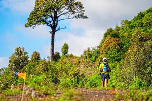 BIB: 2462, 1486
                            <button type="button" onclick="openModal(19368607)" class="btn btn-primary btn-sm float-right btn-popup" data-toggle="modal" data-target=".modal-high-quality">
                        <i class="fas fa-shopping-cart"></i> Add to Cart
                    </button>
                                            <button type="button" onclick="isThisMe(19368607, true)" class="btn btn-success btn-sm float-right btn-popup btn-isme hidden" data-toggle="tooltip" data-placement="bottom" title="นี่คือรูปของคุณใช่ไหม คลิกที่นี่เพื่อเอาเข้าอัลบั้ม">
                        <i class="fas fa-plus"></i> Add to album
                    </button>
                    <button type="button" onclick="isThisMe(19368607, false)" class="btn btn-warning btn-sm float-right btn-popup btn-isnotme hidden">
                        <i class="fas fa-ban"></i> Remove from album
                    </button>