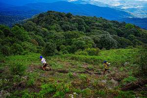 BIB: 
                            <button type="button" onclick="openModal(19368704)" class="btn btn-primary btn-sm float-right btn-popup" data-toggle="modal" data-target=".modal-high-quality">
                        <i class="fas fa-shopping-cart"></i> Add to Cart
                    </button>
                                            <button type="button" onclick="isThisMe(19368704, true)" class="btn btn-success btn-sm float-right btn-popup btn-isme hidden" data-toggle="tooltip" data-placement="bottom" title="นี่คือรูปของคุณใช่ไหม คลิกที่นี่เพื่อเอาเข้าอัลบั้ม">
                        <i class="fas fa-plus"></i> Add to album
                    </button>
                    <button type="button" onclick="isThisMe(19368704, false)" class="btn btn-warning btn-sm float-right btn-popup btn-isnotme hidden">
                        <i class="fas fa-ban"></i> Remove from album
                    </button>