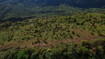 BIB: 
                            <button type="button" onclick="openModal(19367714)" class="btn btn-primary btn-sm float-right btn-popup" data-toggle="modal" data-target=".modal-high-quality">
                        <i class="fas fa-shopping-cart"></i> Add to Cart
                    </button>
                                            <button type="button" onclick="isThisMe(19367714, true)" class="btn btn-success btn-sm float-right btn-popup btn-isme hidden" data-toggle="tooltip" data-placement="bottom" title="นี่คือรูปของคุณใช่ไหม คลิกที่นี่เพื่อเอาเข้าอัลบั้ม">
                        <i class="fas fa-plus"></i> Add to album
                    </button>
                    <button type="button" onclick="isThisMe(19367714, false)" class="btn btn-warning btn-sm float-right btn-popup btn-isnotme hidden">
                        <i class="fas fa-ban"></i> Remove from album
                    </button>