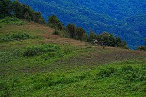 BIB: 
                            <button type="button" onclick="openModal(19368655)" class="btn btn-primary btn-sm float-right btn-popup" data-toggle="modal" data-target=".modal-high-quality">
                        <i class="fas fa-shopping-cart"></i> Add to Cart
                    </button>
                                            <button type="button" onclick="isThisMe(19368655, true)" class="btn btn-success btn-sm float-right btn-popup btn-isme hidden" data-toggle="tooltip" data-placement="bottom" title="นี่คือรูปของคุณใช่ไหม คลิกที่นี่เพื่อเอาเข้าอัลบั้ม">
                        <i class="fas fa-plus"></i> Add to album
                    </button>
                    <button type="button" onclick="isThisMe(19368655, false)" class="btn btn-warning btn-sm float-right btn-popup btn-isnotme hidden">
                        <i class="fas fa-ban"></i> Remove from album
                    </button>