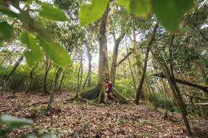 BIB: 
                            <button type="button" onclick="openModal(19367487)" class="btn btn-primary btn-sm float-right btn-popup" data-toggle="modal" data-target=".modal-high-quality">
                        <i class="fas fa-shopping-cart"></i> Add to Cart
                    </button>
                                            <button type="button" onclick="isThisMe(19367487, true)" class="btn btn-success btn-sm float-right btn-popup btn-isme hidden" data-toggle="tooltip" data-placement="bottom" title="นี่คือรูปของคุณใช่ไหม คลิกที่นี่เพื่อเอาเข้าอัลบั้ม">
                        <i class="fas fa-plus"></i> Add to album
                    </button>
                    <button type="button" onclick="isThisMe(19367487, false)" class="btn btn-warning btn-sm float-right btn-popup btn-isnotme hidden">
                        <i class="fas fa-ban"></i> Remove from album
                    </button>