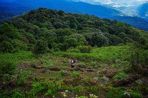 BIB: 
                            <button type="button" onclick="openModal(19368705)" class="btn btn-primary btn-sm float-right btn-popup" data-toggle="modal" data-target=".modal-high-quality">
                        <i class="fas fa-shopping-cart"></i> Add to Cart
                    </button>
                                            <button type="button" onclick="isThisMe(19368705, true)" class="btn btn-success btn-sm float-right btn-popup btn-isme hidden" data-toggle="tooltip" data-placement="bottom" title="นี่คือรูปของคุณใช่ไหม คลิกที่นี่เพื่อเอาเข้าอัลบั้ม">
                        <i class="fas fa-plus"></i> Add to album
                    </button>
                    <button type="button" onclick="isThisMe(19368705, false)" class="btn btn-warning btn-sm float-right btn-popup btn-isnotme hidden">
                        <i class="fas fa-ban"></i> Remove from album
                    </button>