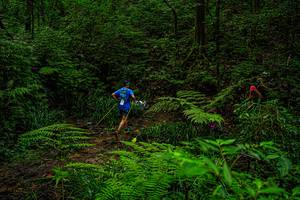 BIB: 
                            <button type="button" onclick="openModal(19368723)" class="btn btn-primary btn-sm float-right btn-popup" data-toggle="modal" data-target=".modal-high-quality">
                        <i class="fas fa-shopping-cart"></i> Add to Cart
                    </button>
                                            <button type="button" onclick="isThisMe(19368723, true)" class="btn btn-success btn-sm float-right btn-popup btn-isme hidden" data-toggle="tooltip" data-placement="bottom" title="นี่คือรูปของคุณใช่ไหม คลิกที่นี่เพื่อเอาเข้าอัลบั้ม">
                        <i class="fas fa-plus"></i> Add to album
                    </button>
                    <button type="button" onclick="isThisMe(19368723, false)" class="btn btn-warning btn-sm float-right btn-popup btn-isnotme hidden">
                        <i class="fas fa-ban"></i> Remove from album
                    </button>