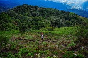 BIB: 
                            <button type="button" onclick="openModal(19368706)" class="btn btn-primary btn-sm float-right btn-popup" data-toggle="modal" data-target=".modal-high-quality">
                        <i class="fas fa-shopping-cart"></i> Add to Cart
                    </button>
                                            <button type="button" onclick="isThisMe(19368706, true)" class="btn btn-success btn-sm float-right btn-popup btn-isme hidden" data-toggle="tooltip" data-placement="bottom" title="นี่คือรูปของคุณใช่ไหม คลิกที่นี่เพื่อเอาเข้าอัลบั้ม">
                        <i class="fas fa-plus"></i> Add to album
                    </button>
                    <button type="button" onclick="isThisMe(19368706, false)" class="btn btn-warning btn-sm float-right btn-popup btn-isnotme hidden">
                        <i class="fas fa-ban"></i> Remove from album
                    </button>