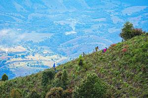 BIB: 
                            <button type="button" onclick="openModal(19368701)" class="btn btn-primary btn-sm float-right btn-popup" data-toggle="modal" data-target=".modal-high-quality">
                        <i class="fas fa-shopping-cart"></i> Add to Cart
                    </button>
                                            <button type="button" onclick="isThisMe(19368701, true)" class="btn btn-success btn-sm float-right btn-popup btn-isme hidden" data-toggle="tooltip" data-placement="bottom" title="นี่คือรูปของคุณใช่ไหม คลิกที่นี่เพื่อเอาเข้าอัลบั้ม">
                        <i class="fas fa-plus"></i> Add to album
                    </button>
                    <button type="button" onclick="isThisMe(19368701, false)" class="btn btn-warning btn-sm float-right btn-popup btn-isnotme hidden">
                        <i class="fas fa-ban"></i> Remove from album
                    </button>