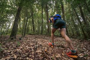 BIB: 
                            <button type="button" onclick="openModal(19367492)" class="btn btn-primary btn-sm float-right btn-popup" data-toggle="modal" data-target=".modal-high-quality">
                        <i class="fas fa-shopping-cart"></i> Add to Cart
                    </button>
                                            <button type="button" onclick="isThisMe(19367492, true)" class="btn btn-success btn-sm float-right btn-popup btn-isme hidden" data-toggle="tooltip" data-placement="bottom" title="นี่คือรูปของคุณใช่ไหม คลิกที่นี่เพื่อเอาเข้าอัลบั้ม">
                        <i class="fas fa-plus"></i> Add to album
                    </button>
                    <button type="button" onclick="isThisMe(19367492, false)" class="btn btn-warning btn-sm float-right btn-popup btn-isnotme hidden">
                        <i class="fas fa-ban"></i> Remove from album
                    </button>