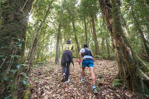 BIB: 
                            <button type="button" onclick="openModal(19367490)" class="btn btn-primary btn-sm float-right btn-popup" data-toggle="modal" data-target=".modal-high-quality">
                        <i class="fas fa-shopping-cart"></i> Add to Cart
                    </button>
                                            <button type="button" onclick="isThisMe(19367490, true)" class="btn btn-success btn-sm float-right btn-popup btn-isme hidden" data-toggle="tooltip" data-placement="bottom" title="นี่คือรูปของคุณใช่ไหม คลิกที่นี่เพื่อเอาเข้าอัลบั้ม">
                        <i class="fas fa-plus"></i> Add to album
                    </button>
                    <button type="button" onclick="isThisMe(19367490, false)" class="btn btn-warning btn-sm float-right btn-popup btn-isnotme hidden">
                        <i class="fas fa-ban"></i> Remove from album
                    </button>