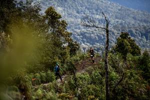 BIB: 
                            <button type="button" onclick="openModal(19369192)" class="btn btn-primary btn-sm float-right btn-popup" data-toggle="modal" data-target=".modal-high-quality">
                        <i class="fas fa-shopping-cart"></i> Add to Cart
                    </button>
                                            <button type="button" onclick="isThisMe(19369192, true)" class="btn btn-success btn-sm float-right btn-popup btn-isme hidden" data-toggle="tooltip" data-placement="bottom" title="นี่คือรูปของคุณใช่ไหม คลิกที่นี่เพื่อเอาเข้าอัลบั้ม">
                        <i class="fas fa-plus"></i> Add to album
                    </button>
                    <button type="button" onclick="isThisMe(19369192, false)" class="btn btn-warning btn-sm float-right btn-popup btn-isnotme hidden">
                        <i class="fas fa-ban"></i> Remove from album
                    </button>