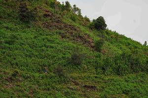 BIB: 
                            <button type="button" onclick="openModal(19368651)" class="btn btn-primary btn-sm float-right btn-popup" data-toggle="modal" data-target=".modal-high-quality">
                        <i class="fas fa-shopping-cart"></i> Add to Cart
                    </button>
                                            <button type="button" onclick="isThisMe(19368651, true)" class="btn btn-success btn-sm float-right btn-popup btn-isme hidden" data-toggle="tooltip" data-placement="bottom" title="นี่คือรูปของคุณใช่ไหม คลิกที่นี่เพื่อเอาเข้าอัลบั้ม">
                        <i class="fas fa-plus"></i> Add to album
                    </button>
                    <button type="button" onclick="isThisMe(19368651, false)" class="btn btn-warning btn-sm float-right btn-popup btn-isnotme hidden">
                        <i class="fas fa-ban"></i> Remove from album
                    </button>