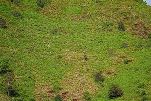 BIB: 
                            <button type="button" onclick="openModal(19368609)" class="btn btn-primary btn-sm float-right btn-popup" data-toggle="modal" data-target=".modal-high-quality">
                        <i class="fas fa-shopping-cart"></i> Add to Cart
                    </button>
                                            <button type="button" onclick="isThisMe(19368609, true)" class="btn btn-success btn-sm float-right btn-popup btn-isme hidden" data-toggle="tooltip" data-placement="bottom" title="นี่คือรูปของคุณใช่ไหม คลิกที่นี่เพื่อเอาเข้าอัลบั้ม">
                        <i class="fas fa-plus"></i> Add to album
                    </button>
                    <button type="button" onclick="isThisMe(19368609, false)" class="btn btn-warning btn-sm float-right btn-popup btn-isnotme hidden">
                        <i class="fas fa-ban"></i> Remove from album
                    </button>