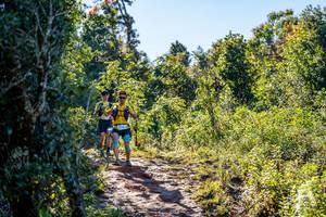 BIB: 
                            <button type="button" onclick="openModal(19374873)" class="btn btn-primary btn-sm float-right btn-popup" data-toggle="modal" data-target=".modal-high-quality">
                        <i class="fas fa-shopping-cart"></i> Add to Cart
                    </button>
                                            <button type="button" onclick="isThisMe(19374873, true)" class="btn btn-success btn-sm float-right btn-popup btn-isme hidden" data-toggle="tooltip" data-placement="bottom" title="นี่คือรูปของคุณใช่ไหม คลิกที่นี่เพื่อเอาเข้าอัลบั้ม">
                        <i class="fas fa-plus"></i> Add to album
                    </button>
                    <button type="button" onclick="isThisMe(19374873, false)" class="btn btn-warning btn-sm float-right btn-popup btn-isnotme hidden">
                        <i class="fas fa-ban"></i> Remove from album
                    </button>