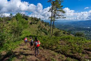 BIB: 
                            <button type="button" onclick="openModal(19375966)" class="btn btn-primary btn-sm float-right btn-popup" data-toggle="modal" data-target=".modal-high-quality">
                        <i class="fas fa-shopping-cart"></i> Add to Cart
                    </button>
                                            <button type="button" onclick="isThisMe(19375966, true)" class="btn btn-success btn-sm float-right btn-popup btn-isme hidden" data-toggle="tooltip" data-placement="bottom" title="นี่คือรูปของคุณใช่ไหม คลิกที่นี่เพื่อเอาเข้าอัลบั้ม">
                        <i class="fas fa-plus"></i> Add to album
                    </button>
                    <button type="button" onclick="isThisMe(19375966, false)" class="btn btn-warning btn-sm float-right btn-popup btn-isnotme hidden">
                        <i class="fas fa-ban"></i> Remove from album
                    </button>