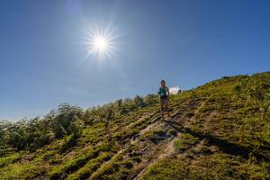 BIB: 
                            <button type="button" onclick="openModal(19375646)" class="btn btn-primary btn-sm float-right btn-popup" data-toggle="modal" data-target=".modal-high-quality">
                        <i class="fas fa-shopping-cart"></i> Add to Cart
                    </button>
                                            <button type="button" onclick="isThisMe(19375646, true)" class="btn btn-success btn-sm float-right btn-popup btn-isme hidden" data-toggle="tooltip" data-placement="bottom" title="นี่คือรูปของคุณใช่ไหม คลิกที่นี่เพื่อเอาเข้าอัลบั้ม">
                        <i class="fas fa-plus"></i> Add to album
                    </button>
                    <button type="button" onclick="isThisMe(19375646, false)" class="btn btn-warning btn-sm float-right btn-popup btn-isnotme hidden">
                        <i class="fas fa-ban"></i> Remove from album
                    </button>