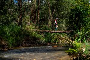 BIB: 
                            <button type="button" onclick="openModal(19375218)" class="btn btn-primary btn-sm float-right btn-popup" data-toggle="modal" data-target=".modal-high-quality">
                        <i class="fas fa-shopping-cart"></i> Add to Cart
                    </button>
                                            <button type="button" onclick="isThisMe(19375218, true)" class="btn btn-success btn-sm float-right btn-popup btn-isme hidden" data-toggle="tooltip" data-placement="bottom" title="นี่คือรูปของคุณใช่ไหม คลิกที่นี่เพื่อเอาเข้าอัลบั้ม">
                        <i class="fas fa-plus"></i> Add to album
                    </button>
                    <button type="button" onclick="isThisMe(19375218, false)" class="btn btn-warning btn-sm float-right btn-popup btn-isnotme hidden">
                        <i class="fas fa-ban"></i> Remove from album
                    </button>