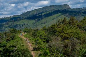 BIB: 9501
                            <button type="button" onclick="openModal(19375172)" class="btn btn-primary btn-sm float-right btn-popup" data-toggle="modal" data-target=".modal-high-quality">
                        <i class="fas fa-shopping-cart"></i> Add to Cart
                    </button>
                                            <button type="button" onclick="isThisMe(19375172, true)" class="btn btn-success btn-sm float-right btn-popup btn-isme hidden" data-toggle="tooltip" data-placement="bottom" title="นี่คือรูปของคุณใช่ไหม คลิกที่นี่เพื่อเอาเข้าอัลบั้ม">
                        <i class="fas fa-plus"></i> Add to album
                    </button>
                    <button type="button" onclick="isThisMe(19375172, false)" class="btn btn-warning btn-sm float-right btn-popup btn-isnotme hidden">
                        <i class="fas fa-ban"></i> Remove from album
                    </button>