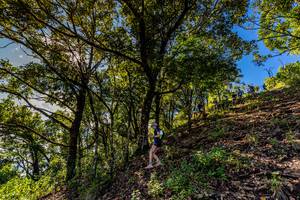 BIB: 
                            <button type="button" onclick="openModal(19375790)" class="btn btn-primary btn-sm float-right btn-popup" data-toggle="modal" data-target=".modal-high-quality">
                        <i class="fas fa-shopping-cart"></i> Add to Cart
                    </button>
                                            <button type="button" onclick="isThisMe(19375790, true)" class="btn btn-success btn-sm float-right btn-popup btn-isme hidden" data-toggle="tooltip" data-placement="bottom" title="นี่คือรูปของคุณใช่ไหม คลิกที่นี่เพื่อเอาเข้าอัลบั้ม">
                        <i class="fas fa-plus"></i> Add to album
                    </button>
                    <button type="button" onclick="isThisMe(19375790, false)" class="btn btn-warning btn-sm float-right btn-popup btn-isnotme hidden">
                        <i class="fas fa-ban"></i> Remove from album
                    </button>