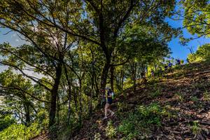 BIB: 
                            <button type="button" onclick="openModal(19375792)" class="btn btn-primary btn-sm float-right btn-popup" data-toggle="modal" data-target=".modal-high-quality">
                        <i class="fas fa-shopping-cart"></i> Add to Cart
                    </button>
                                            <button type="button" onclick="isThisMe(19375792, true)" class="btn btn-success btn-sm float-right btn-popup btn-isme hidden" data-toggle="tooltip" data-placement="bottom" title="นี่คือรูปของคุณใช่ไหม คลิกที่นี่เพื่อเอาเข้าอัลบั้ม">
                        <i class="fas fa-plus"></i> Add to album
                    </button>
                    <button type="button" onclick="isThisMe(19375792, false)" class="btn btn-warning btn-sm float-right btn-popup btn-isnotme hidden">
                        <i class="fas fa-ban"></i> Remove from album
                    </button>