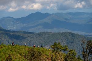 BIB: 
                            <button type="button" onclick="openModal(19375098)" class="btn btn-primary btn-sm float-right btn-popup" data-toggle="modal" data-target=".modal-high-quality">
                        <i class="fas fa-shopping-cart"></i> Add to Cart
                    </button>
                                            <button type="button" onclick="isThisMe(19375098, true)" class="btn btn-success btn-sm float-right btn-popup btn-isme hidden" data-toggle="tooltip" data-placement="bottom" title="นี่คือรูปของคุณใช่ไหม คลิกที่นี่เพื่อเอาเข้าอัลบั้ม">
                        <i class="fas fa-plus"></i> Add to album
                    </button>
                    <button type="button" onclick="isThisMe(19375098, false)" class="btn btn-warning btn-sm float-right btn-popup btn-isnotme hidden">
                        <i class="fas fa-ban"></i> Remove from album
                    </button>