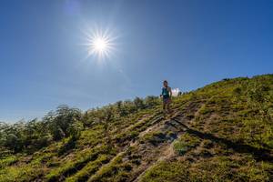 BIB: 
                            <button type="button" onclick="openModal(19375647)" class="btn btn-primary btn-sm float-right btn-popup" data-toggle="modal" data-target=".modal-high-quality">
                        <i class="fas fa-shopping-cart"></i> Add to Cart
                    </button>
                                            <button type="button" onclick="isThisMe(19375647, true)" class="btn btn-success btn-sm float-right btn-popup btn-isme hidden" data-toggle="tooltip" data-placement="bottom" title="นี่คือรูปของคุณใช่ไหม คลิกที่นี่เพื่อเอาเข้าอัลบั้ม">
                        <i class="fas fa-plus"></i> Add to album
                    </button>
                    <button type="button" onclick="isThisMe(19375647, false)" class="btn btn-warning btn-sm float-right btn-popup btn-isnotme hidden">
                        <i class="fas fa-ban"></i> Remove from album
                    </button>