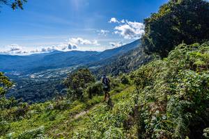 BIB: 
                            <button type="button" onclick="openModal(19375692)" class="btn btn-primary btn-sm float-right btn-popup" data-toggle="modal" data-target=".modal-high-quality">
                        <i class="fas fa-shopping-cart"></i> Add to Cart
                    </button>
                                            <button type="button" onclick="isThisMe(19375692, true)" class="btn btn-success btn-sm float-right btn-popup btn-isme hidden" data-toggle="tooltip" data-placement="bottom" title="นี่คือรูปของคุณใช่ไหม คลิกที่นี่เพื่อเอาเข้าอัลบั้ม">
                        <i class="fas fa-plus"></i> Add to album
                    </button>
                    <button type="button" onclick="isThisMe(19375692, false)" class="btn btn-warning btn-sm float-right btn-popup btn-isnotme hidden">
                        <i class="fas fa-ban"></i> Remove from album
                    </button>