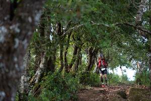 BIB: 
                            <button type="button" onclick="openModal(19375166)" class="btn btn-primary btn-sm float-right btn-popup" data-toggle="modal" data-target=".modal-high-quality">
                        <i class="fas fa-shopping-cart"></i> Add to Cart
                    </button>
                                            <button type="button" onclick="isThisMe(19375166, true)" class="btn btn-success btn-sm float-right btn-popup btn-isme hidden" data-toggle="tooltip" data-placement="bottom" title="นี่คือรูปของคุณใช่ไหม คลิกที่นี่เพื่อเอาเข้าอัลบั้ม">
                        <i class="fas fa-plus"></i> Add to album
                    </button>
                    <button type="button" onclick="isThisMe(19375166, false)" class="btn btn-warning btn-sm float-right btn-popup btn-isnotme hidden">
                        <i class="fas fa-ban"></i> Remove from album
                    </button>