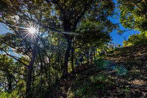 BIB: 
                            <button type="button" onclick="openModal(19375796)" class="btn btn-primary btn-sm float-right btn-popup" data-toggle="modal" data-target=".modal-high-quality">
                        <i class="fas fa-shopping-cart"></i> Add to Cart
                    </button>
                                            <button type="button" onclick="isThisMe(19375796, true)" class="btn btn-success btn-sm float-right btn-popup btn-isme hidden" data-toggle="tooltip" data-placement="bottom" title="นี่คือรูปของคุณใช่ไหม คลิกที่นี่เพื่อเอาเข้าอัลบั้ม">
                        <i class="fas fa-plus"></i> Add to album
                    </button>
                    <button type="button" onclick="isThisMe(19375796, false)" class="btn btn-warning btn-sm float-right btn-popup btn-isnotme hidden">
                        <i class="fas fa-ban"></i> Remove from album
                    </button>