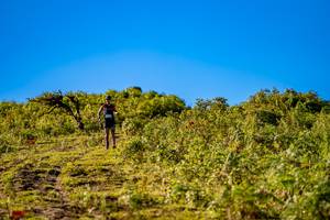 BIB: 
                            <button type="button" onclick="openModal(19374734)" class="btn btn-primary btn-sm float-right btn-popup" data-toggle="modal" data-target=".modal-high-quality">
                        <i class="fas fa-shopping-cart"></i> Add to Cart
                    </button>
                                            <button type="button" onclick="isThisMe(19374734, true)" class="btn btn-success btn-sm float-right btn-popup btn-isme hidden" data-toggle="tooltip" data-placement="bottom" title="นี่คือรูปของคุณใช่ไหม คลิกที่นี่เพื่อเอาเข้าอัลบั้ม">
                        <i class="fas fa-plus"></i> Add to album
                    </button>
                    <button type="button" onclick="isThisMe(19374734, false)" class="btn btn-warning btn-sm float-right btn-popup btn-isnotme hidden">
                        <i class="fas fa-ban"></i> Remove from album
                    </button>