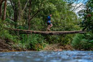 BIB: 
                            <button type="button" onclick="openModal(19375263)" class="btn btn-primary btn-sm float-right btn-popup" data-toggle="modal" data-target=".modal-high-quality">
                        <i class="fas fa-shopping-cart"></i> Add to Cart
                    </button>
                                            <button type="button" onclick="isThisMe(19375263, true)" class="btn btn-success btn-sm float-right btn-popup btn-isme hidden" data-toggle="tooltip" data-placement="bottom" title="นี่คือรูปของคุณใช่ไหม คลิกที่นี่เพื่อเอาเข้าอัลบั้ม">
                        <i class="fas fa-plus"></i> Add to album
                    </button>
                    <button type="button" onclick="isThisMe(19375263, false)" class="btn btn-warning btn-sm float-right btn-popup btn-isnotme hidden">
                        <i class="fas fa-ban"></i> Remove from album
                    </button>