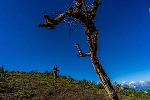 BIB: 
                            <button type="button" onclick="openModal(19375684)" class="btn btn-primary btn-sm float-right btn-popup" data-toggle="modal" data-target=".modal-high-quality">
                        <i class="fas fa-shopping-cart"></i> Add to Cart
                    </button>
                                            <button type="button" onclick="isThisMe(19375684, true)" class="btn btn-success btn-sm float-right btn-popup btn-isme hidden" data-toggle="tooltip" data-placement="bottom" title="นี่คือรูปของคุณใช่ไหม คลิกที่นี่เพื่อเอาเข้าอัลบั้ม">
                        <i class="fas fa-plus"></i> Add to album
                    </button>
                    <button type="button" onclick="isThisMe(19375684, false)" class="btn btn-warning btn-sm float-right btn-popup btn-isnotme hidden">
                        <i class="fas fa-ban"></i> Remove from album
                    </button>