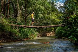 BIB: 
                            <button type="button" onclick="openModal(19375247)" class="btn btn-primary btn-sm float-right btn-popup" data-toggle="modal" data-target=".modal-high-quality">
                        <i class="fas fa-shopping-cart"></i> Add to Cart
                    </button>
                                            <button type="button" onclick="isThisMe(19375247, true)" class="btn btn-success btn-sm float-right btn-popup btn-isme hidden" data-toggle="tooltip" data-placement="bottom" title="นี่คือรูปของคุณใช่ไหม คลิกที่นี่เพื่อเอาเข้าอัลบั้ม">
                        <i class="fas fa-plus"></i> Add to album
                    </button>
                    <button type="button" onclick="isThisMe(19375247, false)" class="btn btn-warning btn-sm float-right btn-popup btn-isnotme hidden">
                        <i class="fas fa-ban"></i> Remove from album
                    </button>