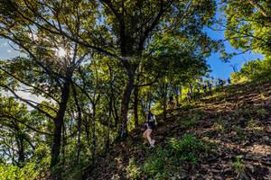 BIB: 
                            <button type="button" onclick="openModal(19375788)" class="btn btn-primary btn-sm float-right btn-popup" data-toggle="modal" data-target=".modal-high-quality">
                        <i class="fas fa-shopping-cart"></i> Add to Cart
                    </button>
                                            <button type="button" onclick="isThisMe(19375788, true)" class="btn btn-success btn-sm float-right btn-popup btn-isme hidden" data-toggle="tooltip" data-placement="bottom" title="นี่คือรูปของคุณใช่ไหม คลิกที่นี่เพื่อเอาเข้าอัลบั้ม">
                        <i class="fas fa-plus"></i> Add to album
                    </button>
                    <button type="button" onclick="isThisMe(19375788, false)" class="btn btn-warning btn-sm float-right btn-popup btn-isnotme hidden">
                        <i class="fas fa-ban"></i> Remove from album
                    </button>