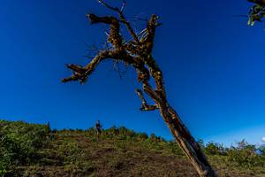 BIB: 
                            <button type="button" onclick="openModal(19375681)" class="btn btn-primary btn-sm float-right btn-popup" data-toggle="modal" data-target=".modal-high-quality">
                        <i class="fas fa-shopping-cart"></i> Add to Cart
                    </button>
                                            <button type="button" onclick="isThisMe(19375681, true)" class="btn btn-success btn-sm float-right btn-popup btn-isme hidden" data-toggle="tooltip" data-placement="bottom" title="นี่คือรูปของคุณใช่ไหม คลิกที่นี่เพื่อเอาเข้าอัลบั้ม">
                        <i class="fas fa-plus"></i> Add to album
                    </button>
                    <button type="button" onclick="isThisMe(19375681, false)" class="btn btn-warning btn-sm float-right btn-popup btn-isnotme hidden">
                        <i class="fas fa-ban"></i> Remove from album
                    </button>