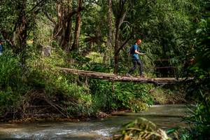 BIB: 
                            <button type="button" onclick="openModal(19375207)" class="btn btn-primary btn-sm float-right btn-popup" data-toggle="modal" data-target=".modal-high-quality">
                        <i class="fas fa-shopping-cart"></i> Add to Cart
                    </button>
                                            <button type="button" onclick="isThisMe(19375207, true)" class="btn btn-success btn-sm float-right btn-popup btn-isme hidden" data-toggle="tooltip" data-placement="bottom" title="นี่คือรูปของคุณใช่ไหม คลิกที่นี่เพื่อเอาเข้าอัลบั้ม">
                        <i class="fas fa-plus"></i> Add to album
                    </button>
                    <button type="button" onclick="isThisMe(19375207, false)" class="btn btn-warning btn-sm float-right btn-popup btn-isnotme hidden">
                        <i class="fas fa-ban"></i> Remove from album
                    </button>