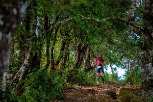 BIB: 
                            <button type="button" onclick="openModal(19375163)" class="btn btn-primary btn-sm float-right btn-popup" data-toggle="modal" data-target=".modal-high-quality">
                        <i class="fas fa-shopping-cart"></i> Add to Cart
                    </button>
                                            <button type="button" onclick="isThisMe(19375163, true)" class="btn btn-success btn-sm float-right btn-popup btn-isme hidden" data-toggle="tooltip" data-placement="bottom" title="นี่คือรูปของคุณใช่ไหม คลิกที่นี่เพื่อเอาเข้าอัลบั้ม">
                        <i class="fas fa-plus"></i> Add to album
                    </button>
                    <button type="button" onclick="isThisMe(19375163, false)" class="btn btn-warning btn-sm float-right btn-popup btn-isnotme hidden">
                        <i class="fas fa-ban"></i> Remove from album
                    </button>