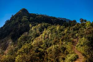 BIB: 
                            <button type="button" onclick="openModal(19374978)" class="btn btn-primary btn-sm float-right btn-popup" data-toggle="modal" data-target=".modal-high-quality">
                        <i class="fas fa-shopping-cart"></i> Add to Cart
                    </button>
                                            <button type="button" onclick="isThisMe(19374978, true)" class="btn btn-success btn-sm float-right btn-popup btn-isme hidden" data-toggle="tooltip" data-placement="bottom" title="นี่คือรูปของคุณใช่ไหม คลิกที่นี่เพื่อเอาเข้าอัลบั้ม">
                        <i class="fas fa-plus"></i> Add to album
                    </button>
                    <button type="button" onclick="isThisMe(19374978, false)" class="btn btn-warning btn-sm float-right btn-popup btn-isnotme hidden">
                        <i class="fas fa-ban"></i> Remove from album
                    </button>