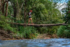 BIB: 
                            <button type="button" onclick="openModal(19375269)" class="btn btn-primary btn-sm float-right btn-popup" data-toggle="modal" data-target=".modal-high-quality">
                        <i class="fas fa-shopping-cart"></i> Add to Cart
                    </button>
                                            <button type="button" onclick="isThisMe(19375269, true)" class="btn btn-success btn-sm float-right btn-popup btn-isme hidden" data-toggle="tooltip" data-placement="bottom" title="นี่คือรูปของคุณใช่ไหม คลิกที่นี่เพื่อเอาเข้าอัลบั้ม">
                        <i class="fas fa-plus"></i> Add to album
                    </button>
                    <button type="button" onclick="isThisMe(19375269, false)" class="btn btn-warning btn-sm float-right btn-popup btn-isnotme hidden">
                        <i class="fas fa-ban"></i> Remove from album
                    </button>