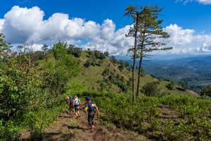 BIB: 
                            <button type="button" onclick="openModal(19375975)" class="btn btn-primary btn-sm float-right btn-popup" data-toggle="modal" data-target=".modal-high-quality">
                        <i class="fas fa-shopping-cart"></i> Add to Cart
                    </button>
                                            <button type="button" onclick="isThisMe(19375975, true)" class="btn btn-success btn-sm float-right btn-popup btn-isme hidden" data-toggle="tooltip" data-placement="bottom" title="นี่คือรูปของคุณใช่ไหม คลิกที่นี่เพื่อเอาเข้าอัลบั้ม">
                        <i class="fas fa-plus"></i> Add to album
                    </button>
                    <button type="button" onclick="isThisMe(19375975, false)" class="btn btn-warning btn-sm float-right btn-popup btn-isnotme hidden">
                        <i class="fas fa-ban"></i> Remove from album
                    </button>