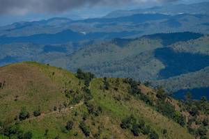 BIB: 
                            <button type="button" onclick="openModal(19375106)" class="btn btn-primary btn-sm float-right btn-popup" data-toggle="modal" data-target=".modal-high-quality">
                        <i class="fas fa-shopping-cart"></i> Add to Cart
                    </button>
                                            <button type="button" onclick="isThisMe(19375106, true)" class="btn btn-success btn-sm float-right btn-popup btn-isme hidden" data-toggle="tooltip" data-placement="bottom" title="นี่คือรูปของคุณใช่ไหม คลิกที่นี่เพื่อเอาเข้าอัลบั้ม">
                        <i class="fas fa-plus"></i> Add to album
                    </button>
                    <button type="button" onclick="isThisMe(19375106, false)" class="btn btn-warning btn-sm float-right btn-popup btn-isnotme hidden">
                        <i class="fas fa-ban"></i> Remove from album
                    </button>