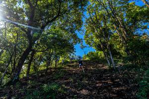 BIB: 
                            <button type="button" onclick="openModal(19375784)" class="btn btn-primary btn-sm float-right btn-popup" data-toggle="modal" data-target=".modal-high-quality">
                        <i class="fas fa-shopping-cart"></i> Add to Cart
                    </button>
                                            <button type="button" onclick="isThisMe(19375784, true)" class="btn btn-success btn-sm float-right btn-popup btn-isme hidden" data-toggle="tooltip" data-placement="bottom" title="นี่คือรูปของคุณใช่ไหม คลิกที่นี่เพื่อเอาเข้าอัลบั้ม">
                        <i class="fas fa-plus"></i> Add to album
                    </button>
                    <button type="button" onclick="isThisMe(19375784, false)" class="btn btn-warning btn-sm float-right btn-popup btn-isnotme hidden">
                        <i class="fas fa-ban"></i> Remove from album
                    </button>