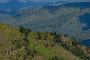 BIB: 
                            <button type="button" onclick="openModal(19375109)" class="btn btn-primary btn-sm float-right btn-popup" data-toggle="modal" data-target=".modal-high-quality">
                        <i class="fas fa-shopping-cart"></i> Add to Cart
                    </button>
                                            <button type="button" onclick="isThisMe(19375109, true)" class="btn btn-success btn-sm float-right btn-popup btn-isme hidden" data-toggle="tooltip" data-placement="bottom" title="นี่คือรูปของคุณใช่ไหม คลิกที่นี่เพื่อเอาเข้าอัลบั้ม">
                        <i class="fas fa-plus"></i> Add to album
                    </button>
                    <button type="button" onclick="isThisMe(19375109, false)" class="btn btn-warning btn-sm float-right btn-popup btn-isnotme hidden">
                        <i class="fas fa-ban"></i> Remove from album
                    </button>