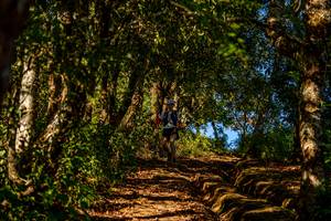 BIB: 
                            <button type="button" onclick="openModal(19374718)" class="btn btn-primary btn-sm float-right btn-popup" data-toggle="modal" data-target=".modal-high-quality">
                        <i class="fas fa-shopping-cart"></i> Add to Cart
                    </button>
                                            <button type="button" onclick="isThisMe(19374718, true)" class="btn btn-success btn-sm float-right btn-popup btn-isme hidden" data-toggle="tooltip" data-placement="bottom" title="นี่คือรูปของคุณใช่ไหม คลิกที่นี่เพื่อเอาเข้าอัลบั้ม">
                        <i class="fas fa-plus"></i> Add to album
                    </button>
                    <button type="button" onclick="isThisMe(19374718, false)" class="btn btn-warning btn-sm float-right btn-popup btn-isnotme hidden">
                        <i class="fas fa-ban"></i> Remove from album
                    </button>